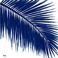 Indigo Baru Palm II Fine Art Print