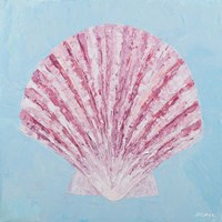 Conch & Scallop II Framed Print