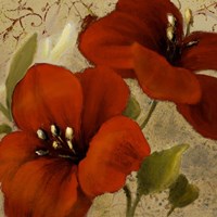 Bahama Flower II Framed Print