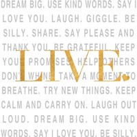 Gold Love and Life II Framed Print