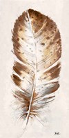Brown Watercolor Feather I Framed Print