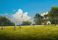 Crane Field Fine Art Print