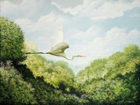 Egret Fine Art Print