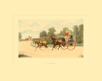 Summer Fine Art Print