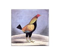 Champion Fine Art Print