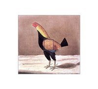 Yorkshire Hero Fine Art Print