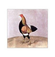 Enomenon Fine Art Print