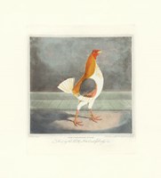 Cheshire Pile Fine Art Print