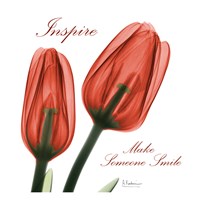 Inspire Tulips Fine Art Print