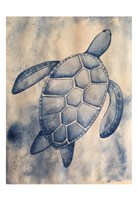 Blue Sea Turtle Fine Art Print