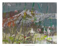 Mountain Wildflowers II Fine Art Print