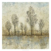 Quiet Nature III Fine Art Print