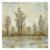 Quiet Nature IV Fine Art Print