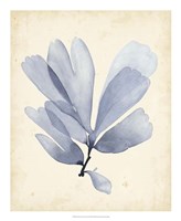 Watercolor Sea Grass II Fine Art Print