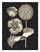 Dramatic Chintz III Fine Art Print