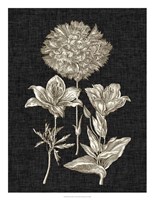 Dramatic Chintz IV Fine Art Print