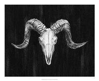 Rustic Ram Mount I Fine Art Print