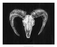 Rustic Ram Mount II Fine Art Print