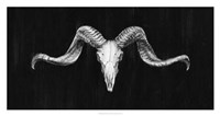Rustic Ram Mount III Fine Art Print