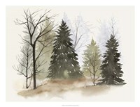 In the Mist II Framed Print