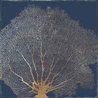Gold Coral II Fine Art Print