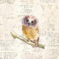 Into the Woods II Framed Print