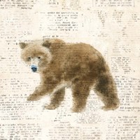 Into the Woods VI Framed Print