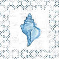 Navy Conch Shell on Newsprint Fine Art Print