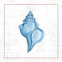 Navy Conch Shell on Newsprint with Red Fine Art Print