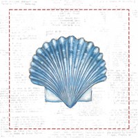 Navy Scallop Shell on Newsprint with Red Fine Art Print