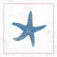 Navy Starfish on Newsprint with Red Framed Print