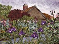 Purple Iris Fine Art Print