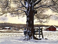 Syrup Buckets Fine Art Print