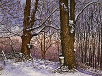 Nature's Sweet Gift Fine Art Print