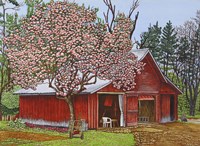 Country Barn Fine Art Print