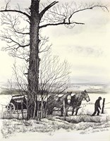 Fenceline Fine Art Print