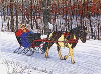 Painted Pony Fine Art Print