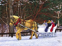 White Sleigh Fine Art Print