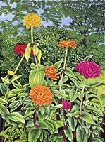 Zinnias Fine Art Print