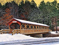 Allegany State Park Fine Art Print