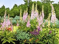 Ann's Garden Fine Art Print