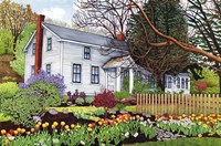 Back Creek Road-Old Homestead Fine Art Print