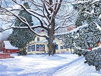 Back Creek Road Fine Art Print