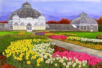 Botanical Gardens, Buffalo, NY Fine Art Print