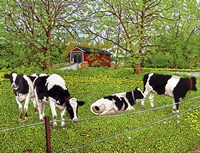 Bovine Beauties, Pennsylvania Fine Art Print