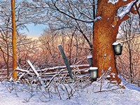 Buckets And Branches Fine Art Print