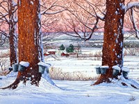 Buckets Of Snow Fine Art Print