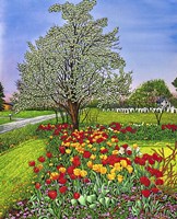 Dorothy's Tulips, Eden Ny Fine Art Print