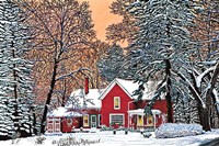 Dressed For The Holidays, Hamburg Ny Fine Art Print