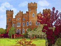 Ireland - Clonyn Castle, Co Westmeath Fine Art Print